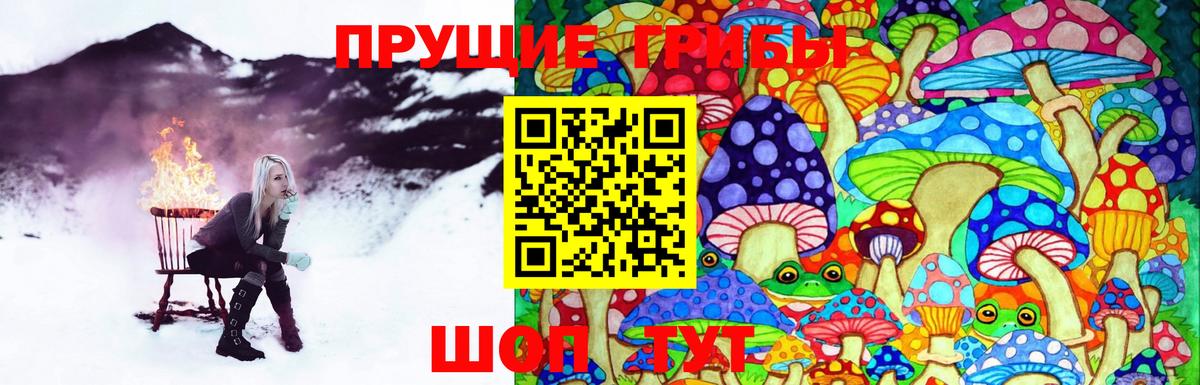 Псилоцибиновые грибы мицелий Елец