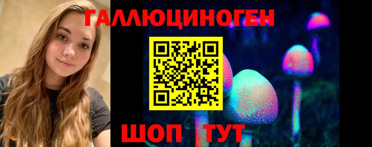Елец  Галлюциногенные грибы Magic Shrooms  Вход с VPN 
